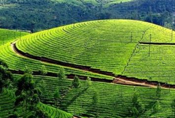 munnar
