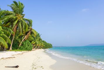 havelock