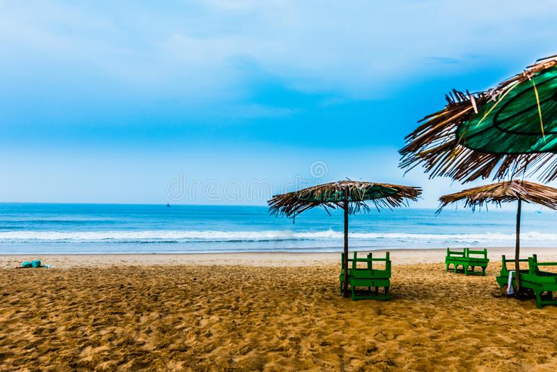 view-calangute-beach-natural-shade-umbrella-103344089
